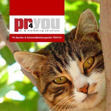 PR-Agentur PR4YOU: PR-Agentur für Tiere: Tierbranche & Heimtierbranche, Tierbedarf & Heimtierbedarf, Zoofachhandel